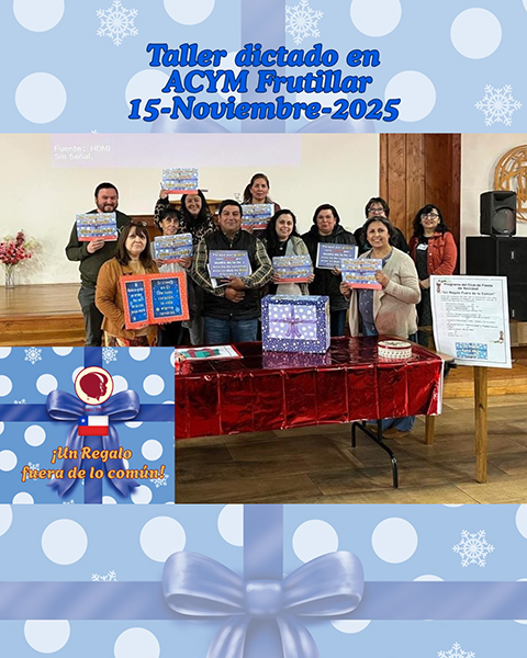 Taller dictado en Frutillar Naptal 2025 copia
